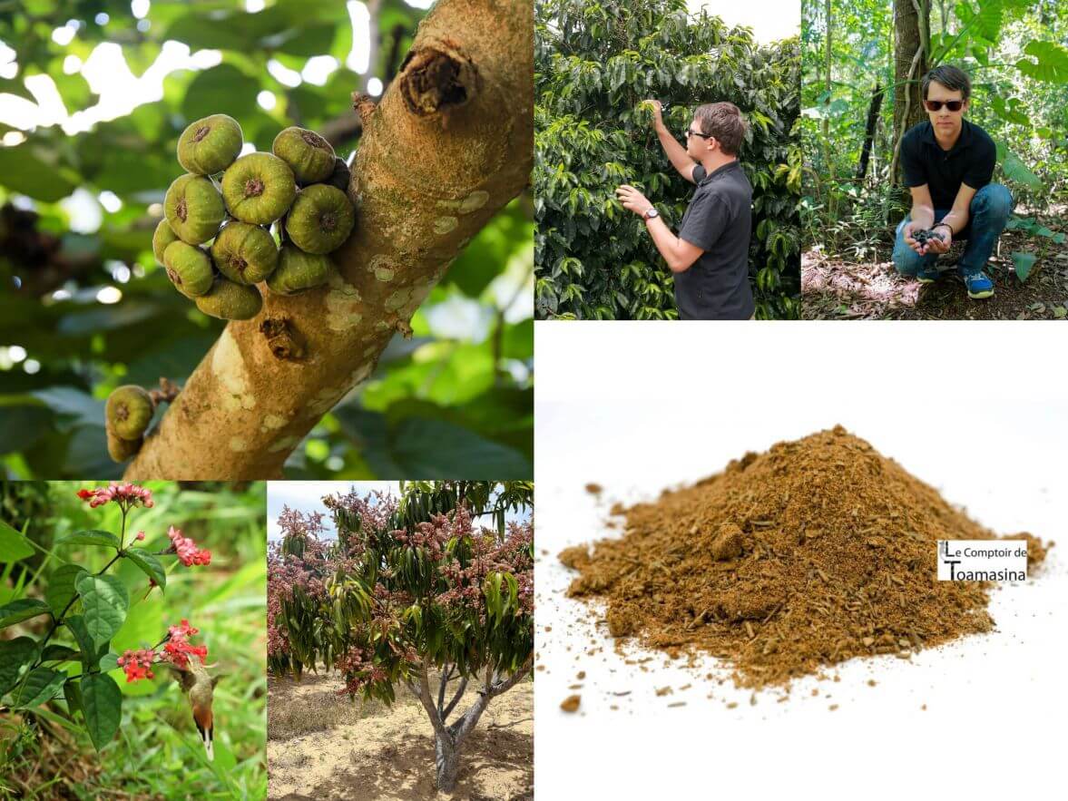 Mélange d'épices du Brésil - épices à barbecue - le meilleure des épices